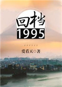 回档1995小说封面