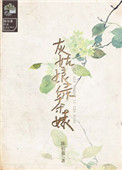 灰姑娘绿茶婊小说封面