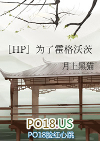 ［HP］为了霍格沃茨小说封面