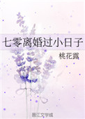 七零离婚过小日子小说封面