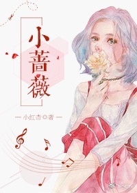 小蔷薇小说封面